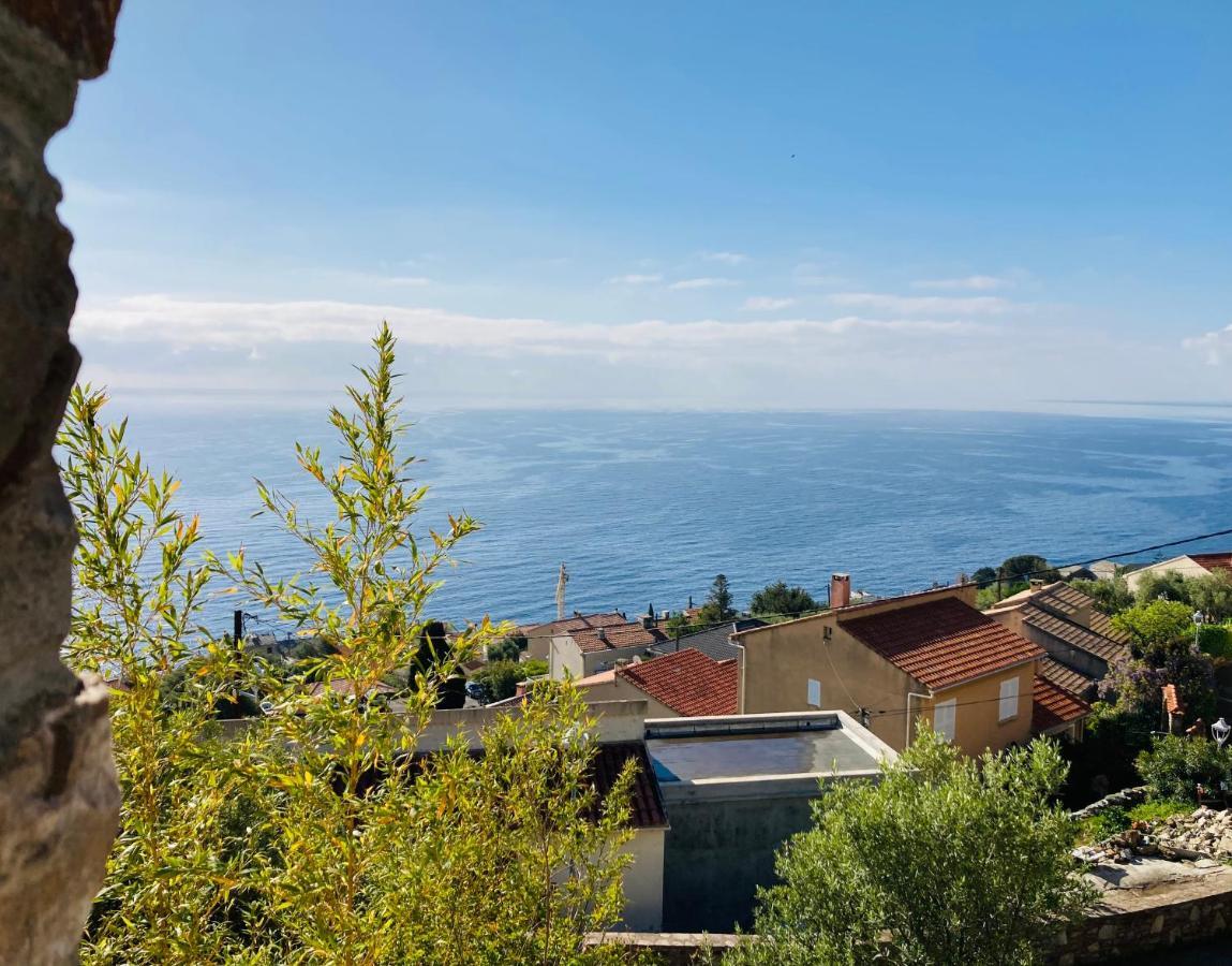 Maison Mediterraneo - Rez De Villa, Vue Imprenable Sur La Mer Pietranera Zewnętrze zdjęcie