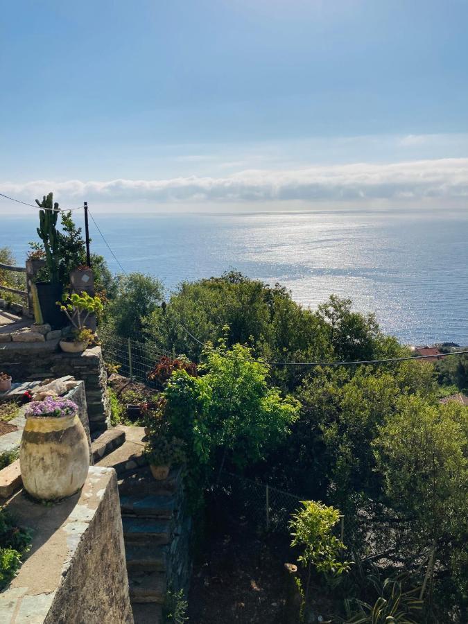 Maison Mediterraneo - Rez De Villa, Vue Imprenable Sur La Mer Pietranera Zewnętrze zdjęcie